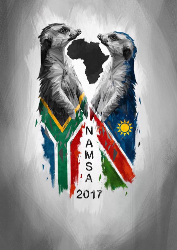 NamSA 2017 Logo